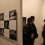 2011 Art Basel Miami (5)